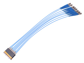 RCD1-WM08-xxxS-1Y