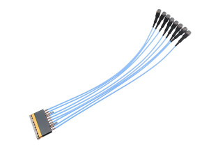 RCD1-WM08-xxxS-6Y